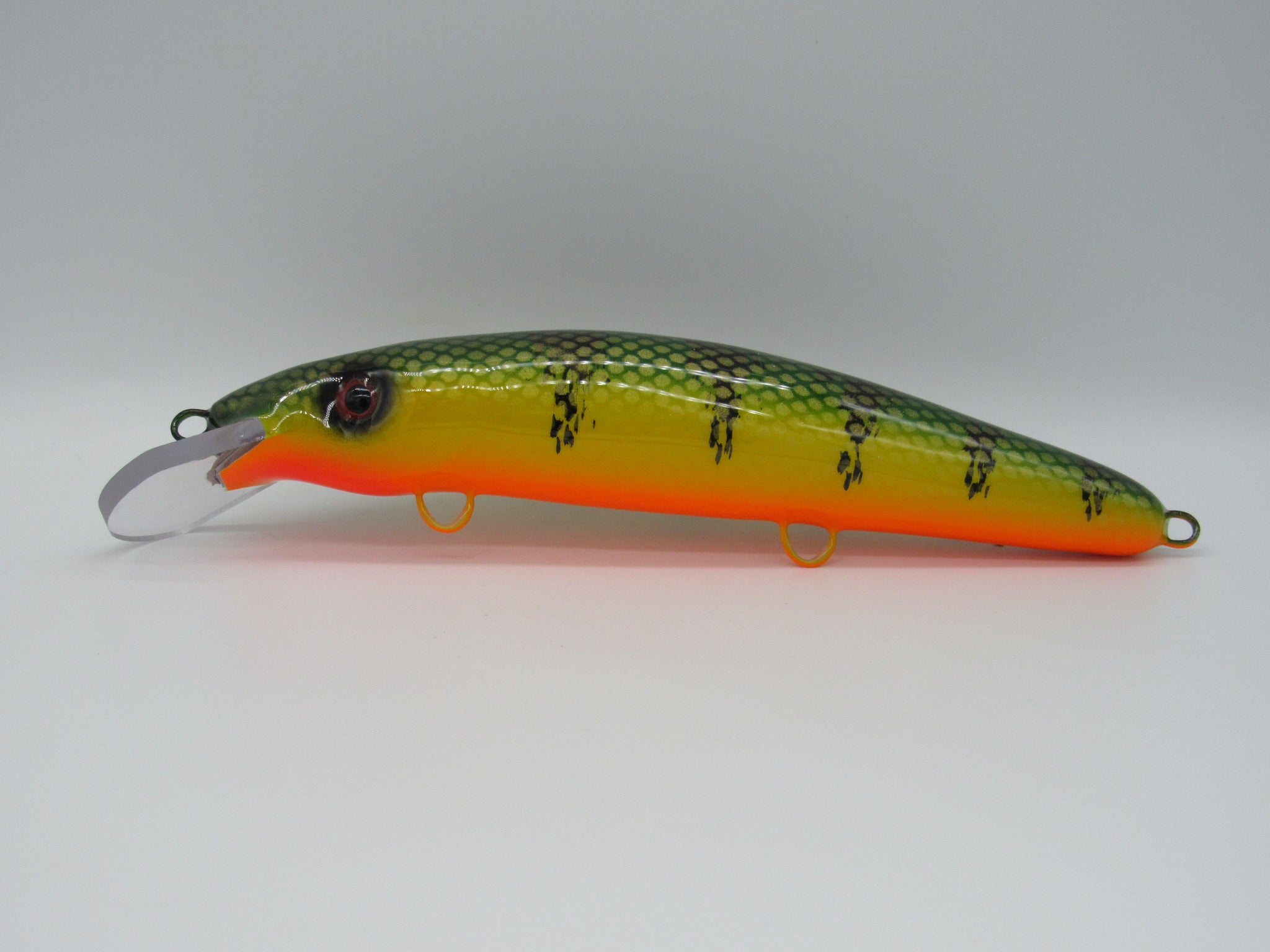 Cisco 9 (Green Perch) – St Lawrence Musky Shop